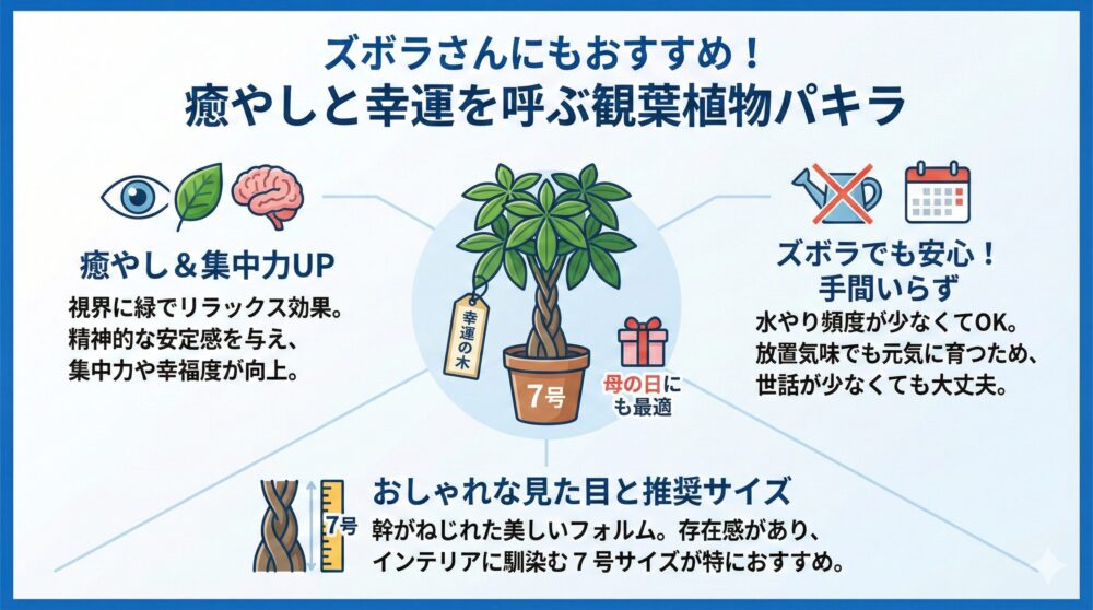 🌿【ズボラ向け観葉植物】世話が少なく癒やされるグリーン選び 1選